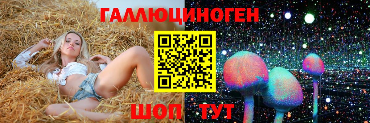 Курчатов  Псилоцибиновые грибы GOLDEN TEACHER  Вход с VPN  Псилоцибиновые грибы GOLDEN TEACHER 